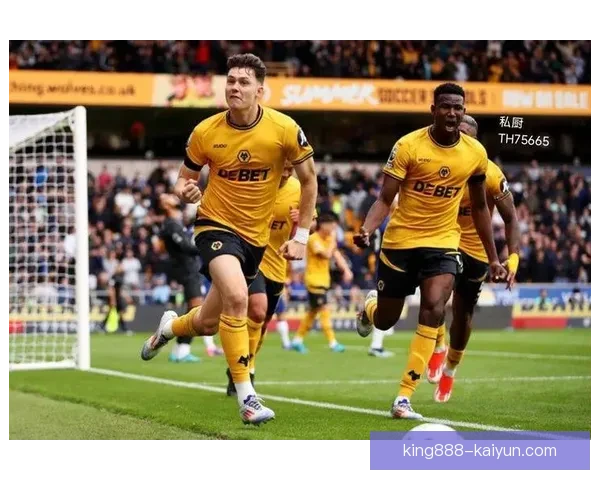 埃弗顿本赛季英超表现稳健，近期状态持续提升